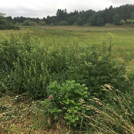Blaesbjergvej 23 , Langelund , 7323 吉弗